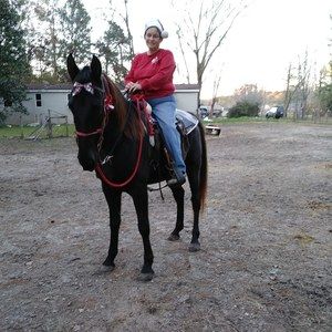 Meet your Posher, Barbara